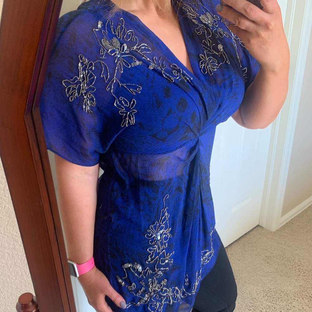Beautiful sheer blue Cache embroidered blouse